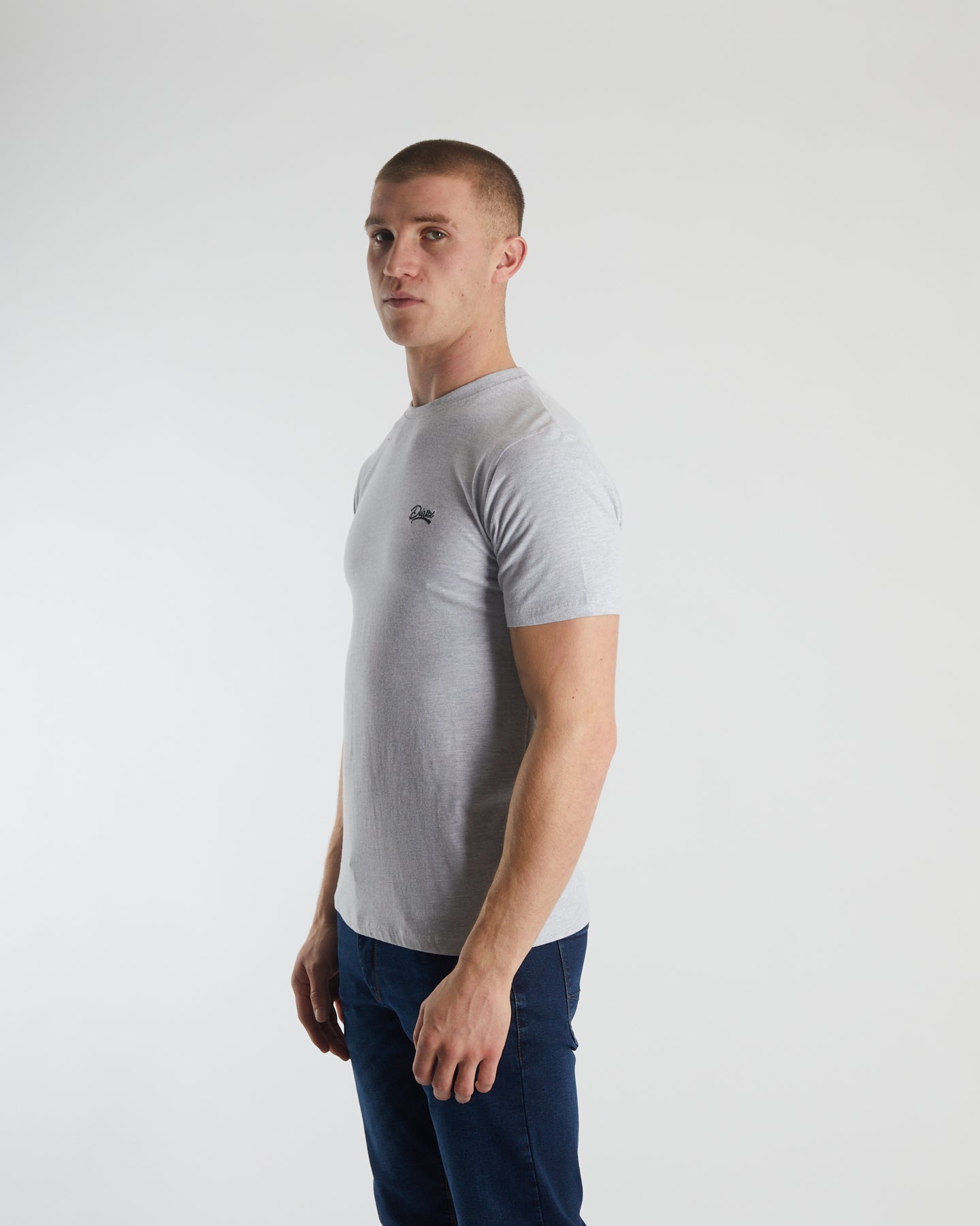 Basic Caden O Neck Tee Pebble