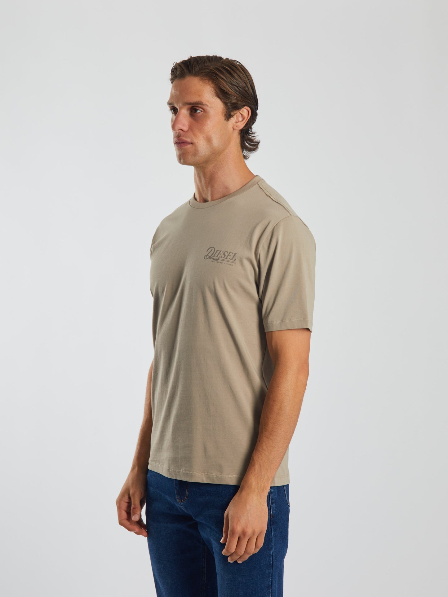 Diesel Soren Tee Stone Biscuit